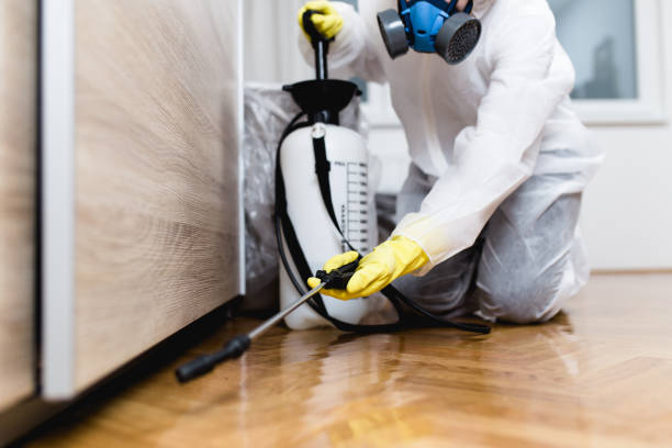 Reliable Syracuse, IN Pest Control Solutions