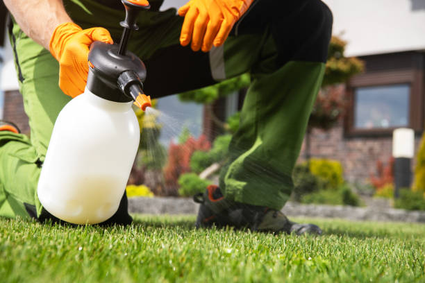 Best Local Pest Control Services  in Syracuse, IN
