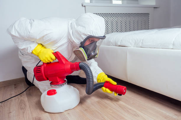 Wasp Removal Services in Syracuse, IN