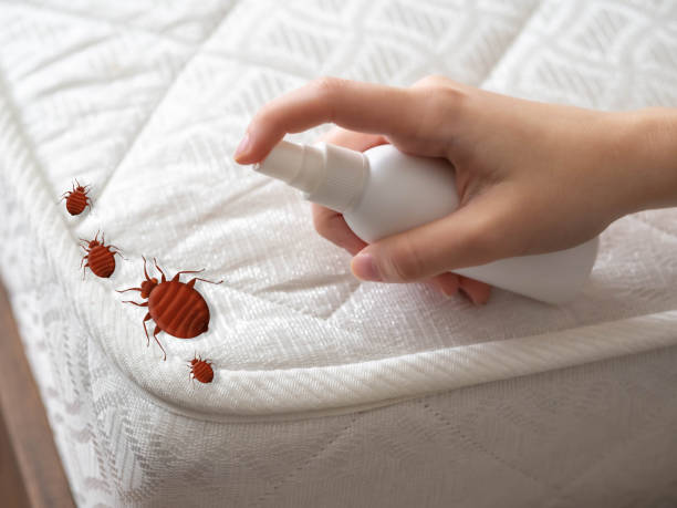 Best Affordable Pest Control Services  in Syracuse, IN