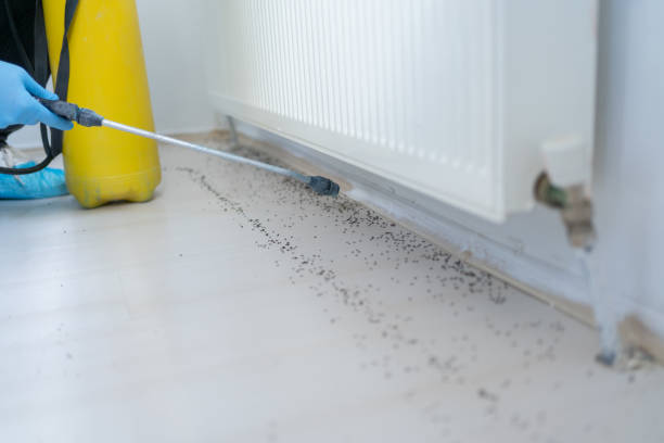 Best Pest Control Near Me in Syracuse, IN